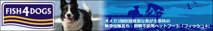 フィッシュ4