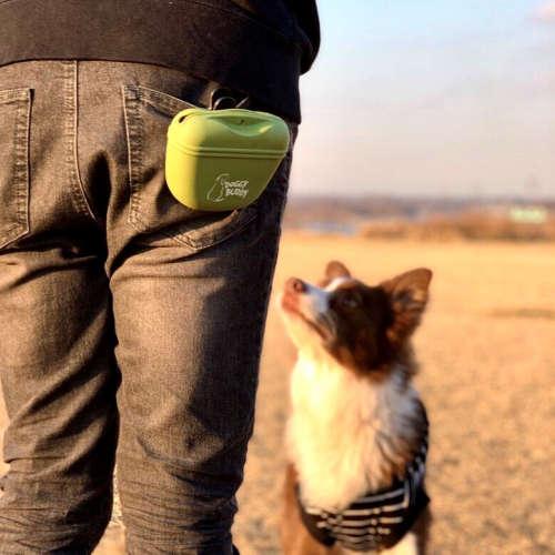 ドギーバディ トリーツポーチ 犬と暮らす専門店dog Space Yu Lala ドギーバディ トリーツポーチ 犬と暮らす専門店dog Space Yu Lala