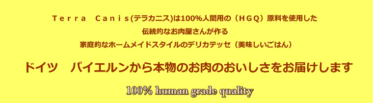 テラカニスバナー