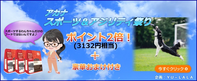 アカナスポーツ&アジリティ祭り