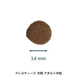 プレスティージ