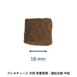 プレスティージ